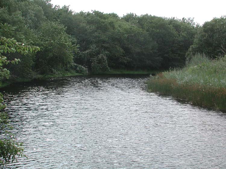 River at Dwyer Farm 9.jpg 98.4K